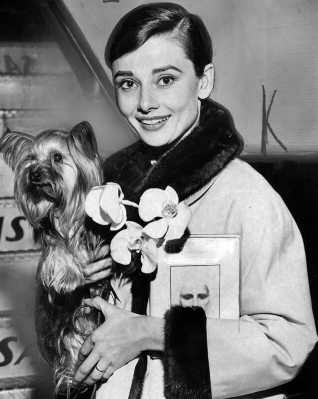 Herald Examiner Collection.