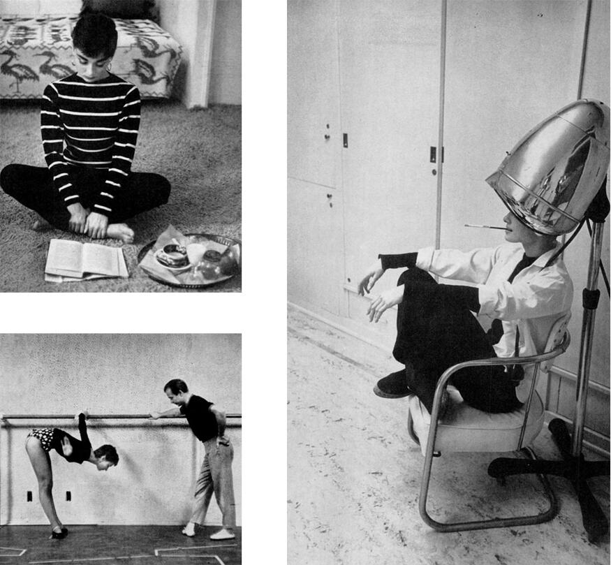 © Mark Shaw.