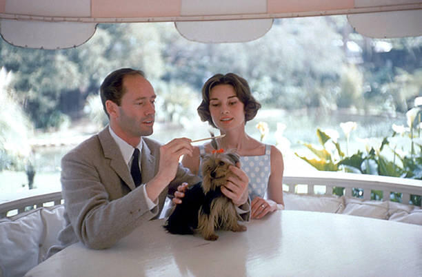 Photo by Richard C. Miller/Getty Images.