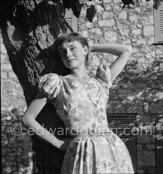 Photographed by Walter Carone. Photographed by Walter Carone.